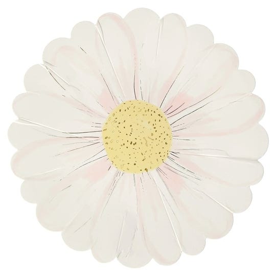 meri-meri-wild-daisy-plates-1