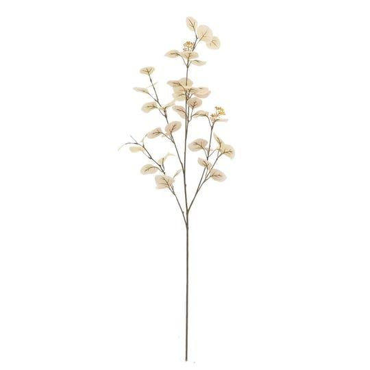 ashland-seed-eucalyptus-stem-cream-14-x-12-x-41-in-1