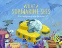 What a Submarine Sees | Cover Image