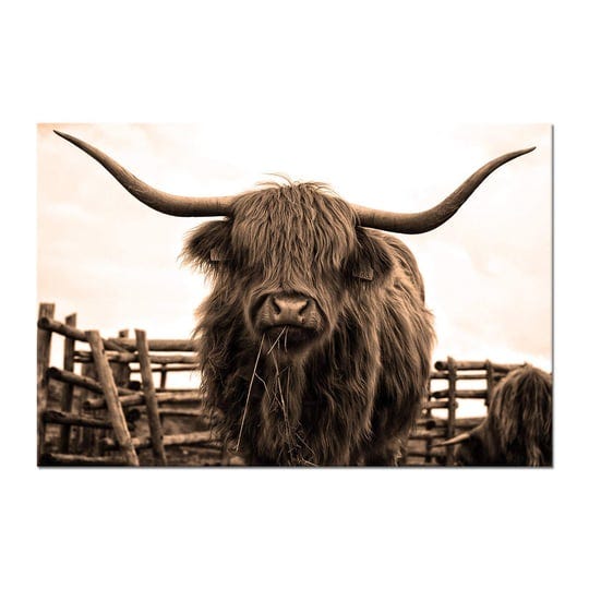 nachic-wall-animal-canvas-wall-art-sepia-highland-cow-pictures-prints-longhorn-cattle-wall-painting--1
