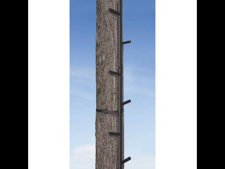 big-game-quick-stick-climbing-system-1