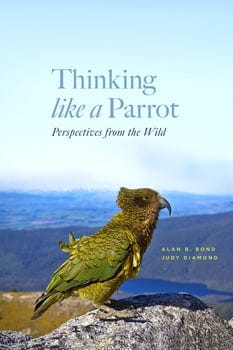 thinking-like-a-parrot-3398138-1