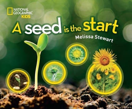 a-seed-is-the-start-112255-1