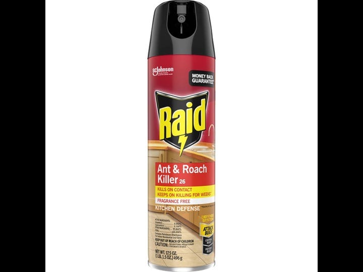 raid-ant-roach-killer-outdoor-fresh-scent-17-5-oz-1