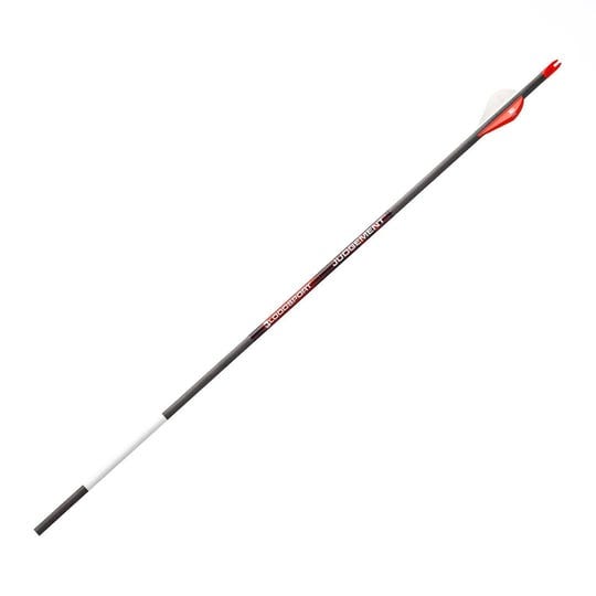 bloodsport-judgement-arrows-300-2-in-vanes-6-pk-1