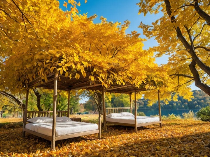Canopy-Gold-Beds-6