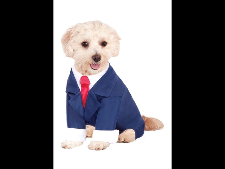 business-suit-costume-pet-1