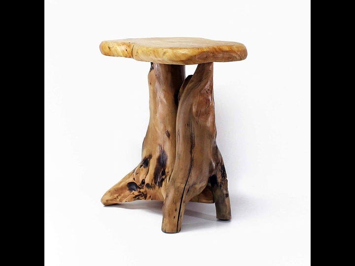 welland-cedar-root-wood-log-side-table-end-table-rustic-primitive-natural-live-edge-1