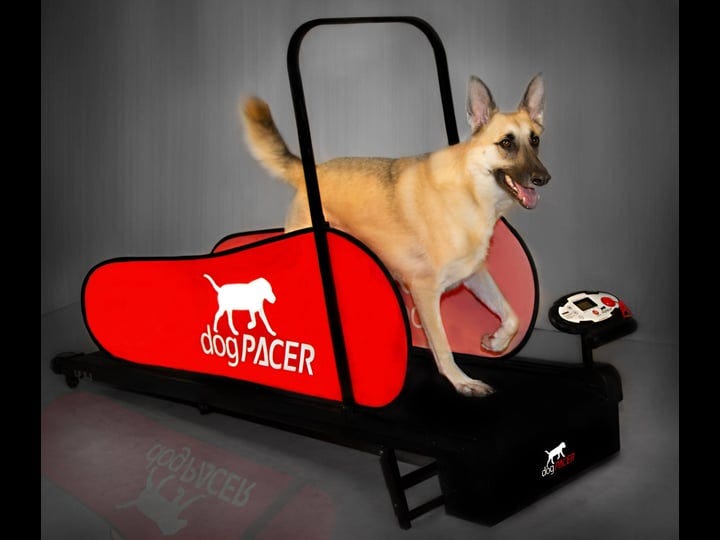 dogpacer-minipacer-treadmill-1