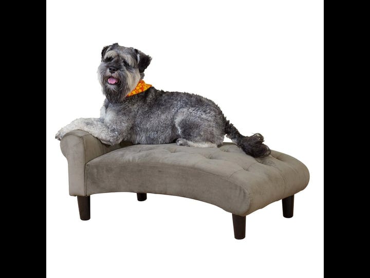 paws-purrs-modern-21-wide-pet-chaise-lounge-bed-for-small-to-medium-dog-or-cat-1