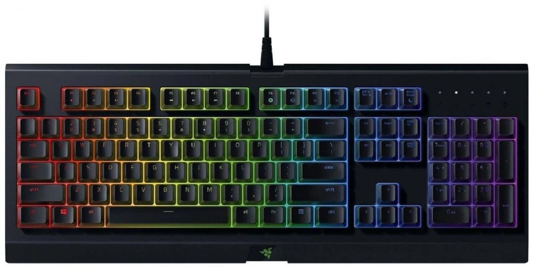 razer-gaming-keyboard-cynosa-chroma-1