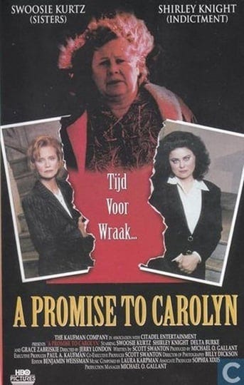 a-promise-to-carolyn-1615035-1