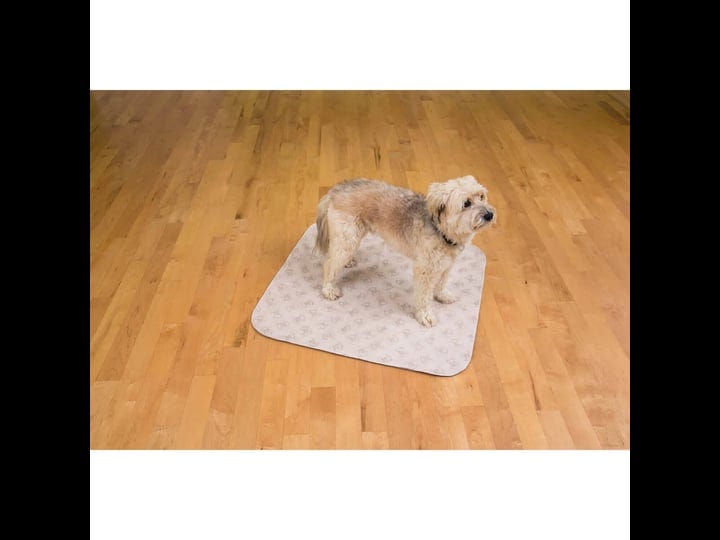 poochpads-training-pad-beige-large-30-x-32-1