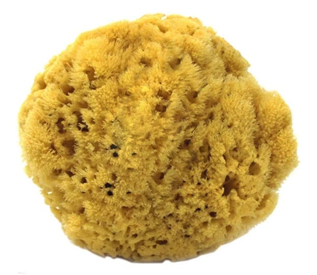 spa-destinations-100-natural-sea-sponge-5-6-by-spa-destinationscreating-the-in-home-spa-experience-f-1