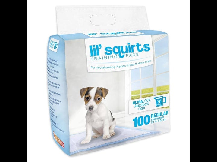 ruffin-it-training-pads-lil-squirts-100-pads-1