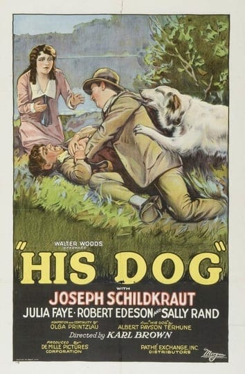 his-dog-4421066-1