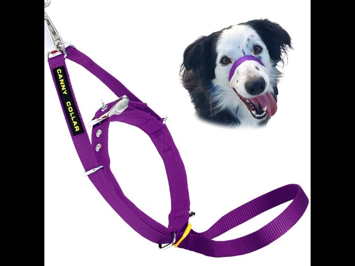 canny-no-pull-padded-dog-training-head-collar-purple-2-neck-size-11-13-in-1