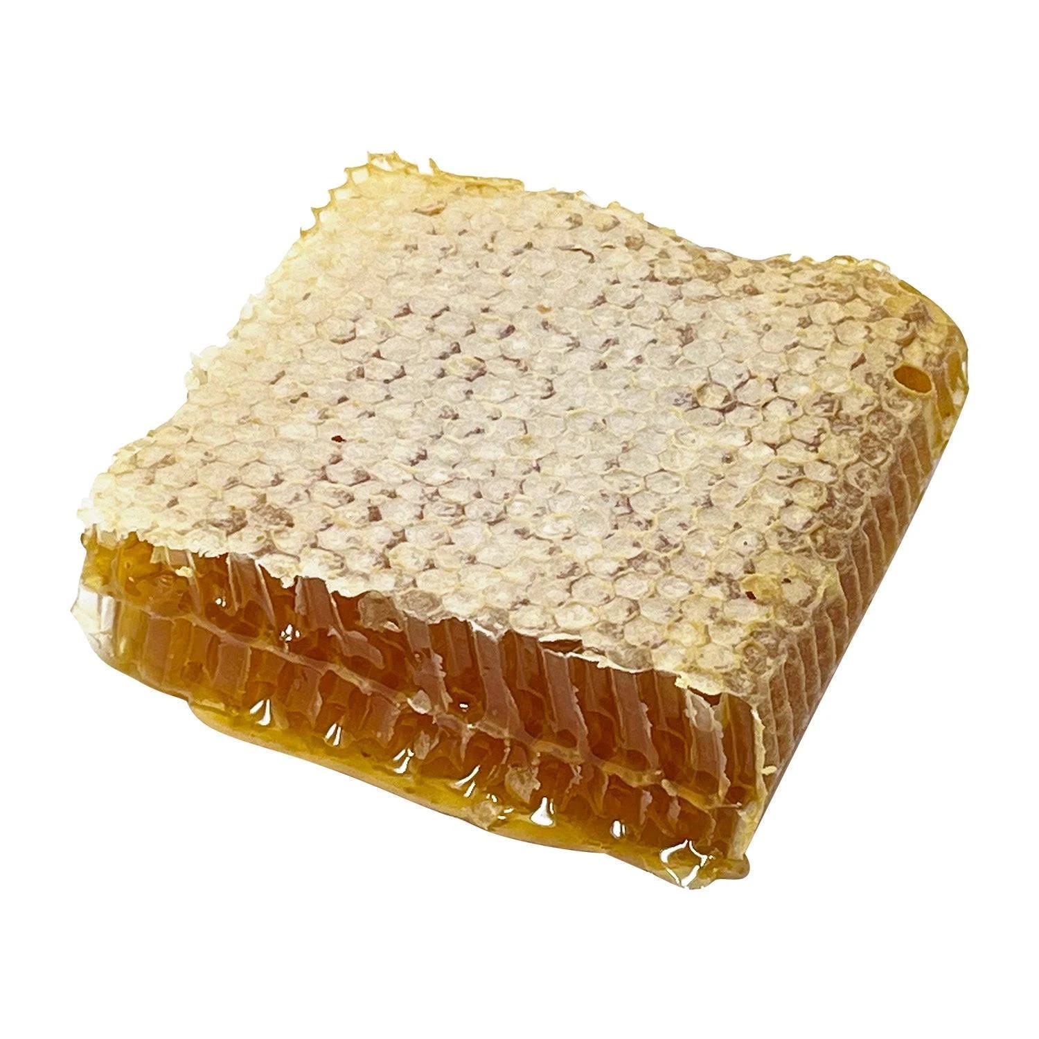 Pure Florida Wildflower Honeycomb: Gourmet Honey in Its Most Natural Form | Image
