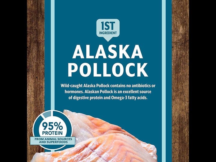 earthborn-holistic-venture-grain-free-alaska-pollock-meal-pumpkin-dry-dog-food-25-lbs-1