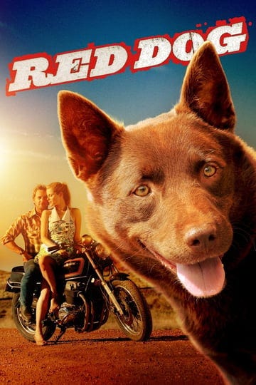 red-dog-945562-1