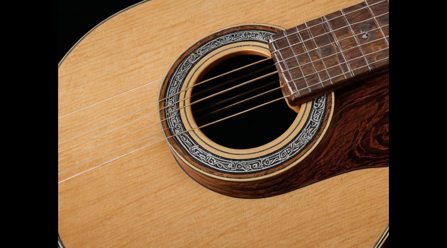 Takamine-12-String-1