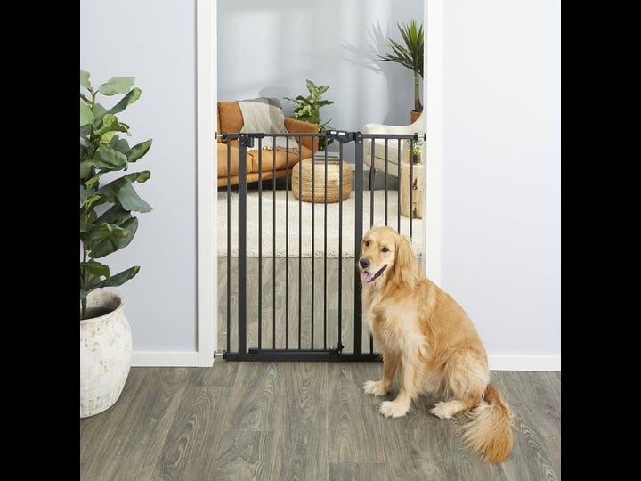 frisco-steel-extra-tall-auto-close-pet-gate-41-in-height-black-1