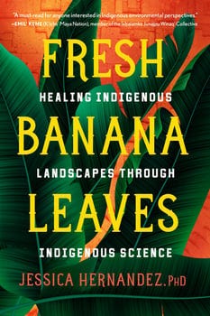 fresh-banana-leaves-3282347-1