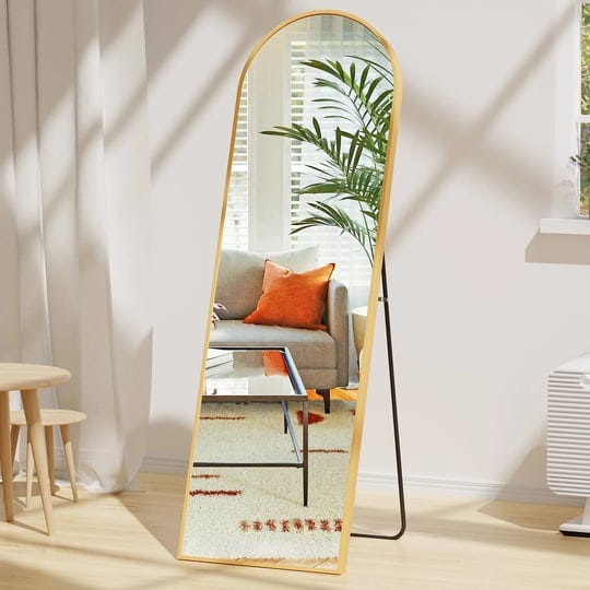 edx-arched-full-length-mirror-59x16-full-body-mirror-rectangle-free-standing-wall-mounted-leaning-ha-1