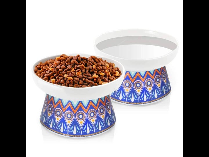 frewinky-cat-bowlselevated-cat-bowls-anti-vomitingceramic-cat-dishesraised-cat-food-and-water-bowl-s-1