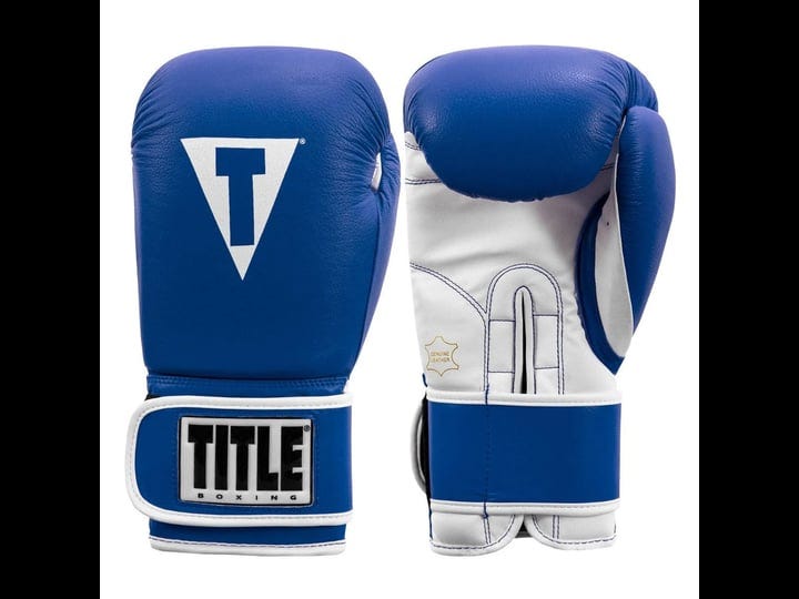 title-boxing-pro-style-leather-training-gloves-3-0-blue-white-16-oz-1