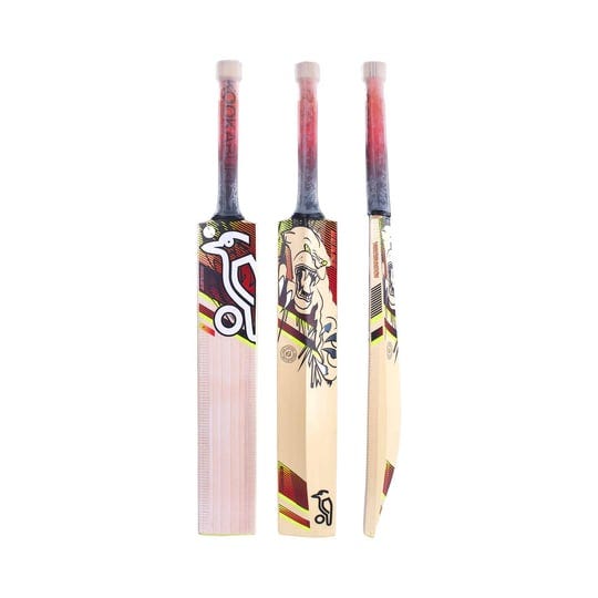 kookaburra-beast-5-1-junior-cricket-bat-2023-5-1