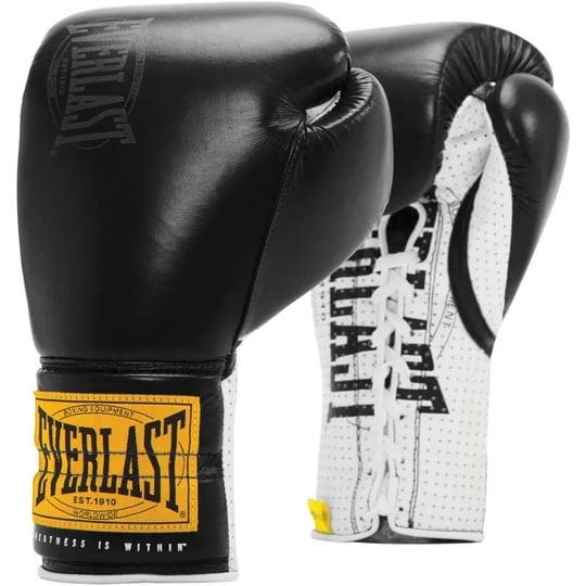 everlast-1910-classic-lace-sparring-gloves-black-16-oz-martial-arts-accessories-at-academy-sports-1