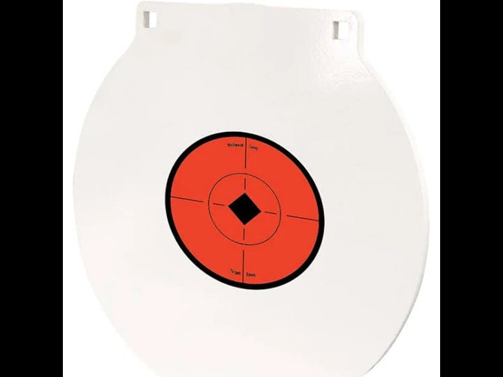 birchwood-casey-1-2-x-10-nm500-steel-round-target-plate-1