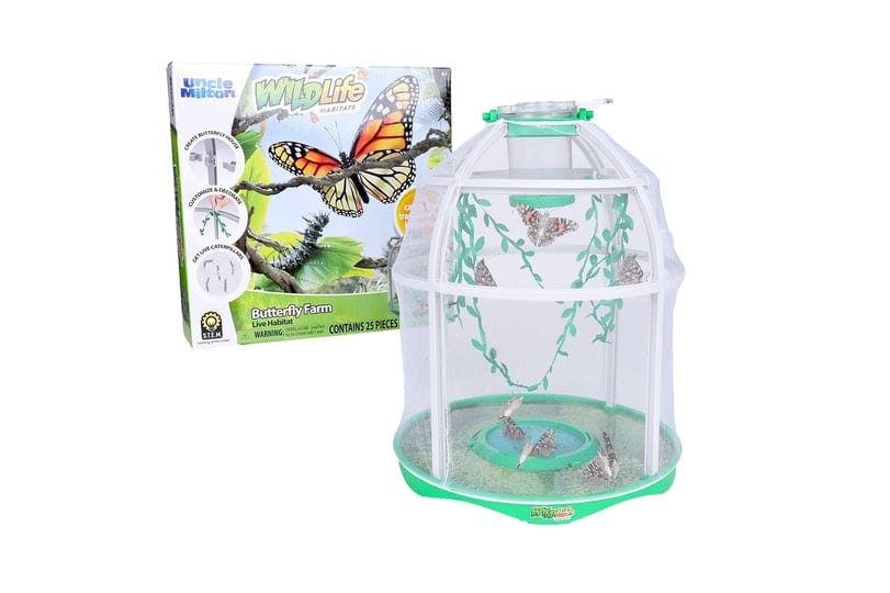 uncle-milton-butterfly-farm-live-habitat-observe-butterfly-lifecycle-1