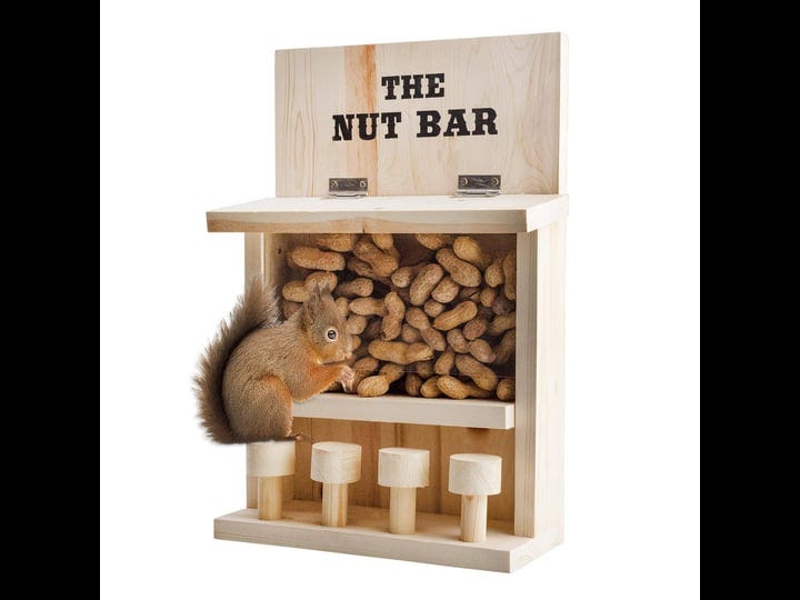 esterno-nut-bar-squirrel-feeder-funny-bar-stool-outdoor-squirrel-feeder-1