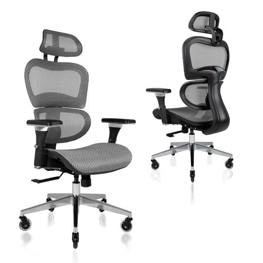 nouhaus-ergo3d-ergonomic-office-chair-rolling-desk-chair-with-4d-adjustable-armrest-3d-lumbar-suppor-1