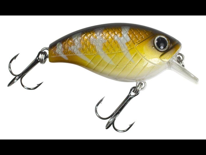 lunkerhunt-impact-shock-2-5f-squarebill-mandarin-1