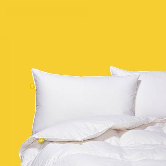 canadian-down-feather-company-white-feather-and-down-duvet-queen-1