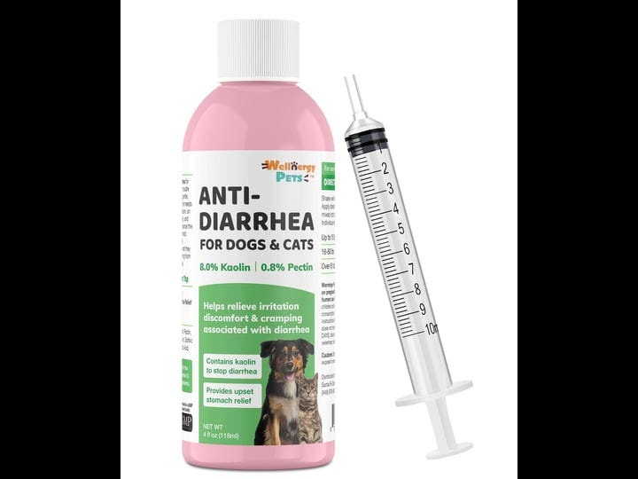 wellnergy-pets-anti-diarrhea-for-dogscats-1