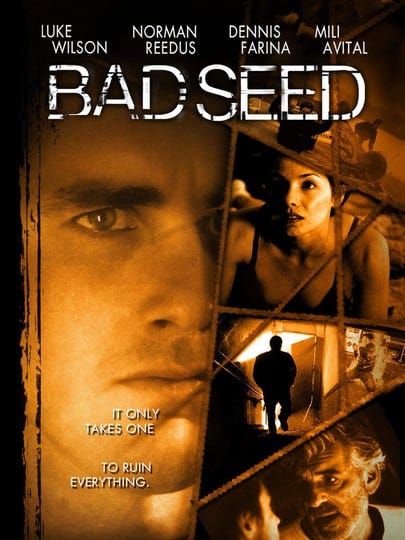 bad-seed-560075-1