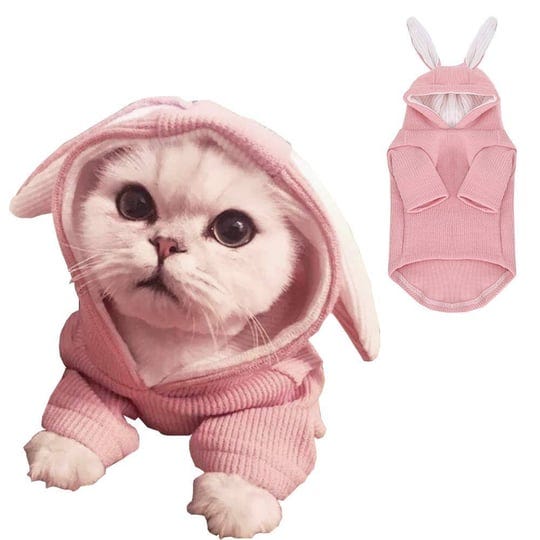 aniac-pet-hoodie-cat-rabbit-outfit-with-bunny-ears-cute-sweatshirt-spring-and-autumn-puppy-knitted-s-1