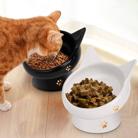 cat-bowlraised-cat-food-bowls-anti-vomitingtilted-elevated-cat-bowlceramic-pet-food-bowl-for-flat-fa-1