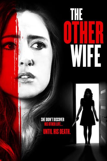 the-other-wife-4342820-1