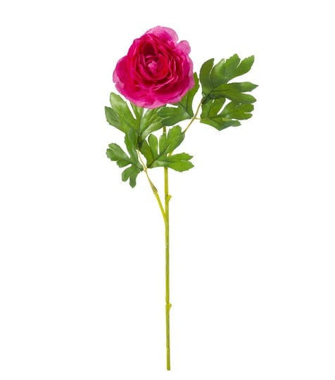 bloom-room-16-pink-ranunculus-stem-floral-stems-floral-craft-supplies-materials-1