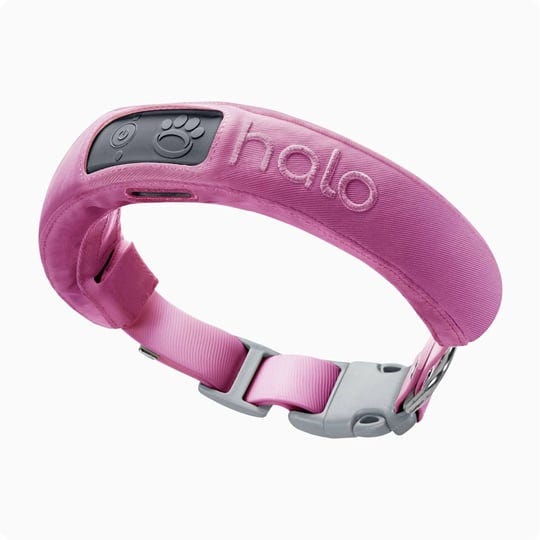 halo-collar-3-small-orchid-gps-dog-fence-multifunction-wireless-dog-fence-training-collar-with-real--1