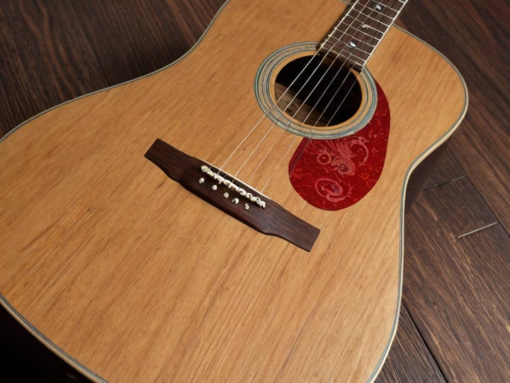 Fender-Acoustic-Guitar-3