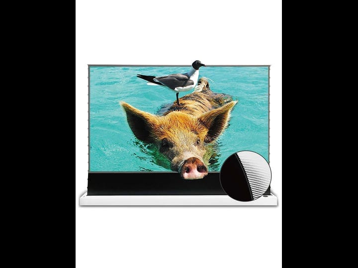 vividstorm-projection-screen-s-pro-100-inch-motor-rollable-laser-tv-tensioned-floor-screen-ambient-l-1