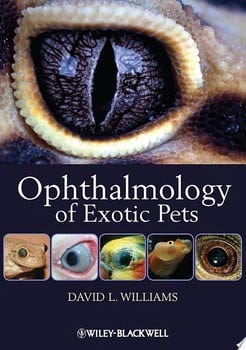 ophthalmology-of-exotic-pets-67212-1