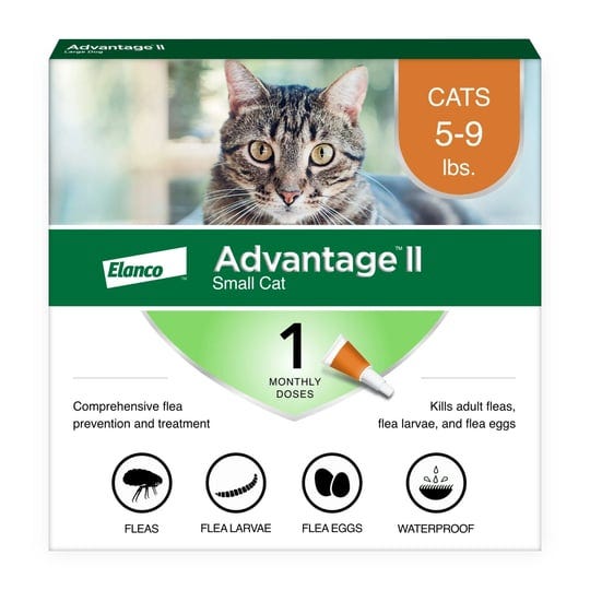 advantage-ii-small-cat-flea-treatment-1