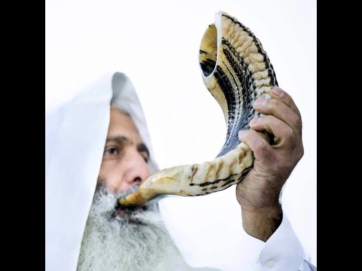 kosher-ram-shofar-horn-from-israel-20-22-traditional-half-polished-ram-shofar-holy-land-easy-blowing-1